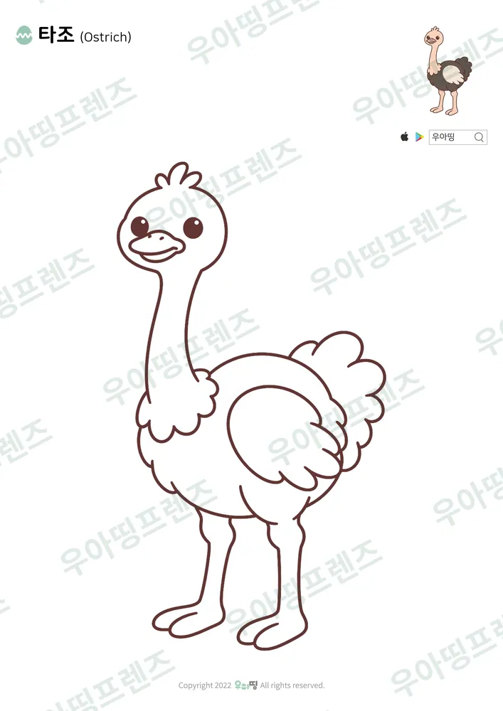 타조 색칠공부 도안