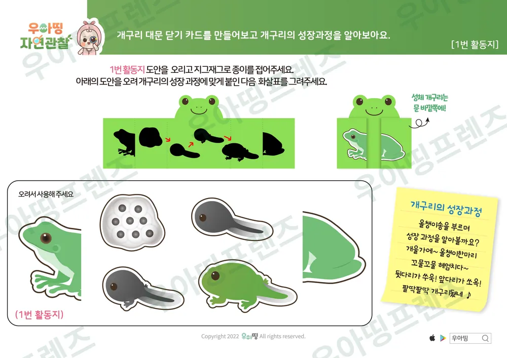개구리 자연관찰 워크북 도안 8쪽