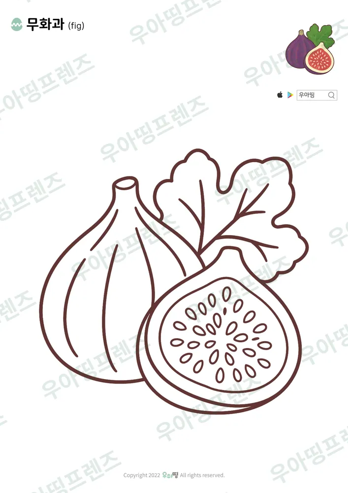 무화과 색칠공부 도안