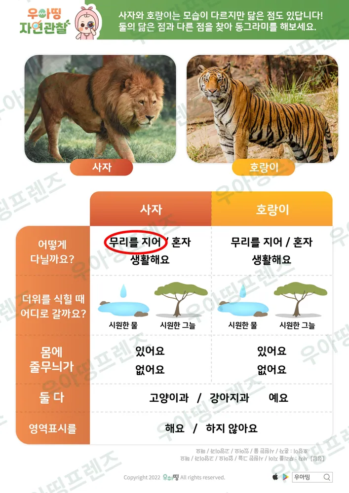사자 자연관찰 워크북 도안 6쪽