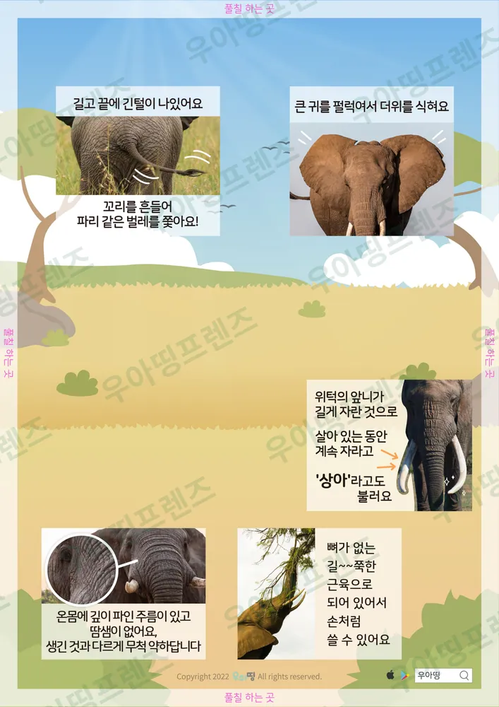 코끼리 자연관찰 워크북 도안 3쪽