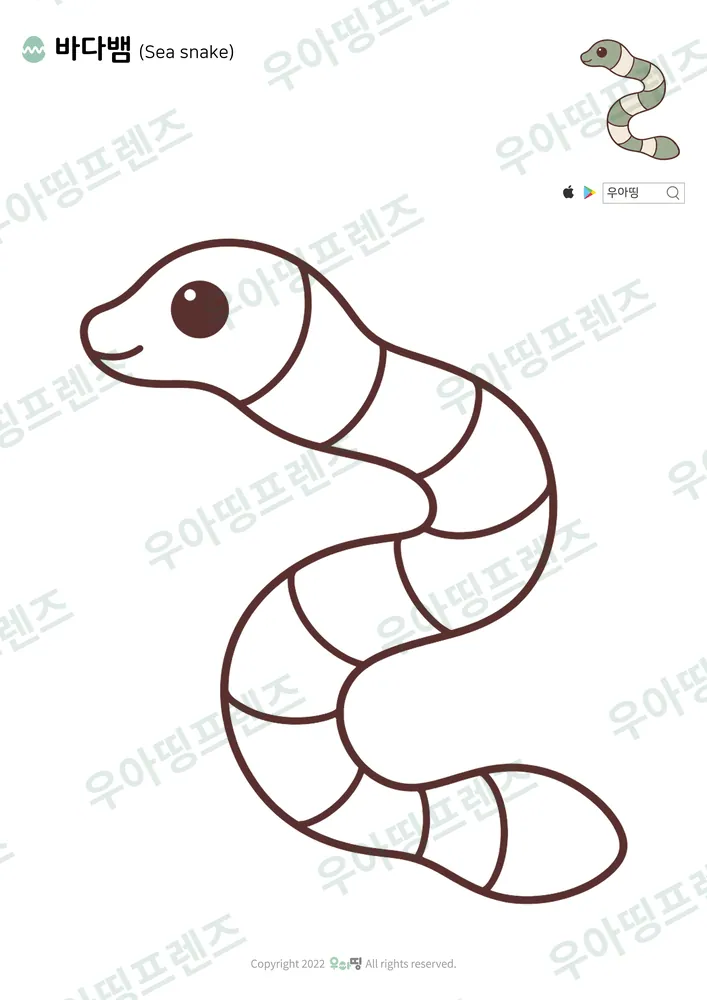 바다뱀 색칠공부 도안