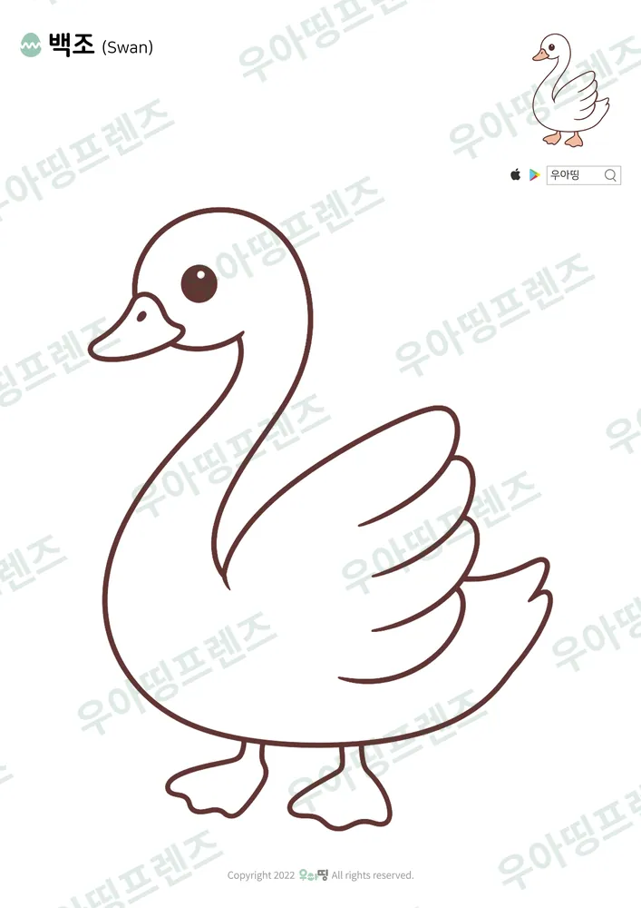 백조 색칠공부 도안