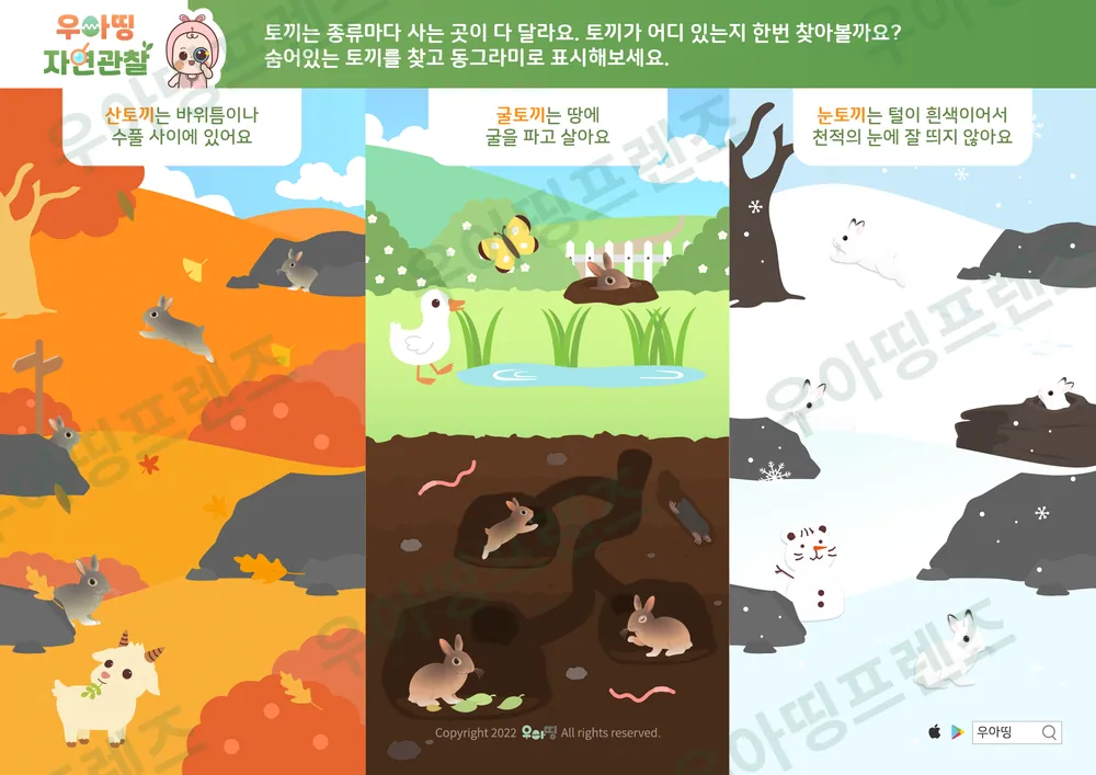 13쪽