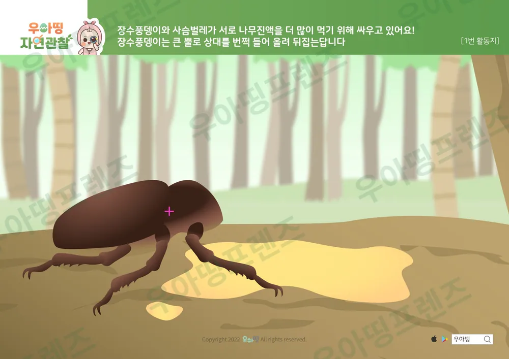 장수풍뎅이 자연관찰 워크북 도안 5쪽
