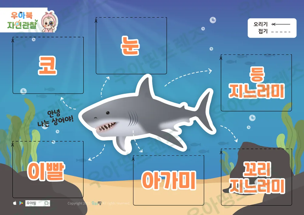 2쪽