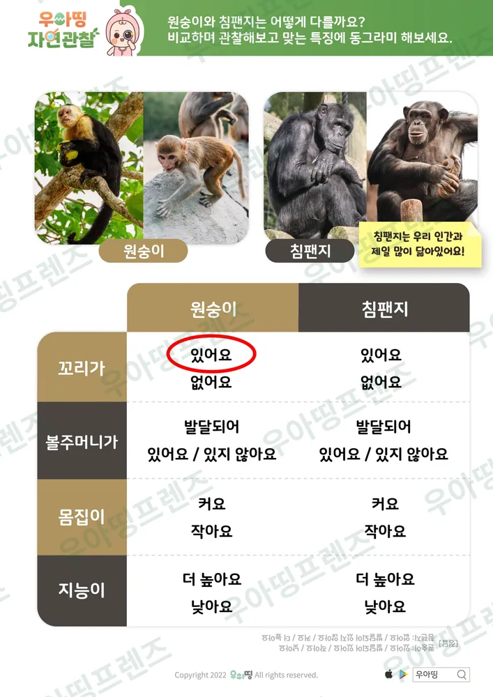 원숭이 자연관찰 워크북 도안 4쪽