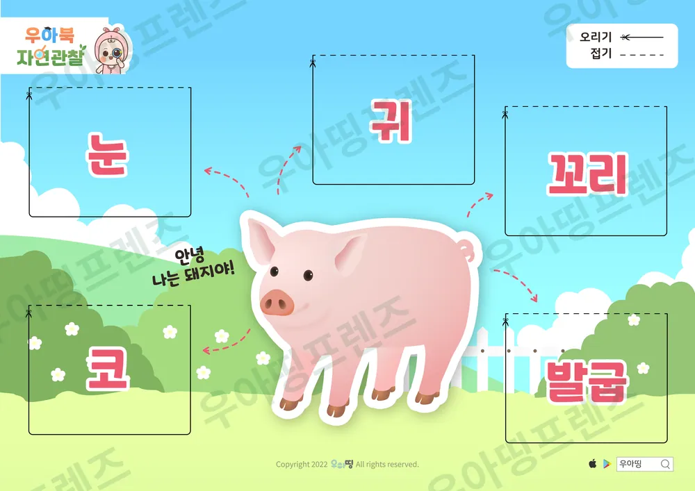 2쪽