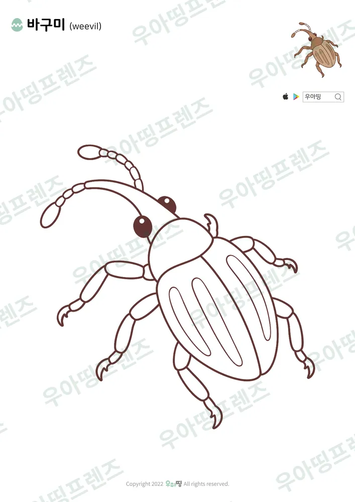 바구미 색칠공부 도안