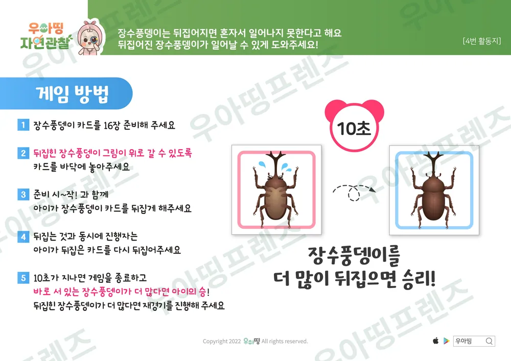 장수풍뎅이 자연관찰 워크북 도안 8쪽