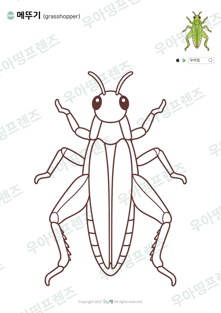 메뚜기 색칠공부 도안