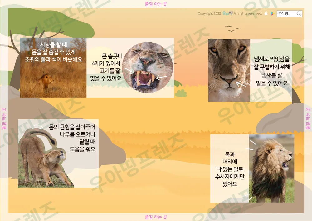 사자 자연관찰 워크북 도안 3쪽