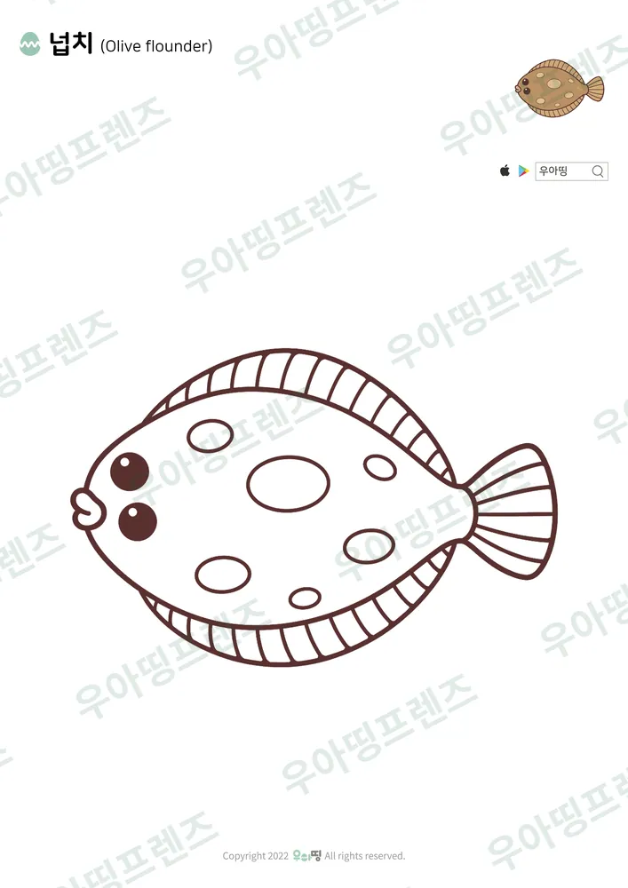 넙치 색칠공부 도안