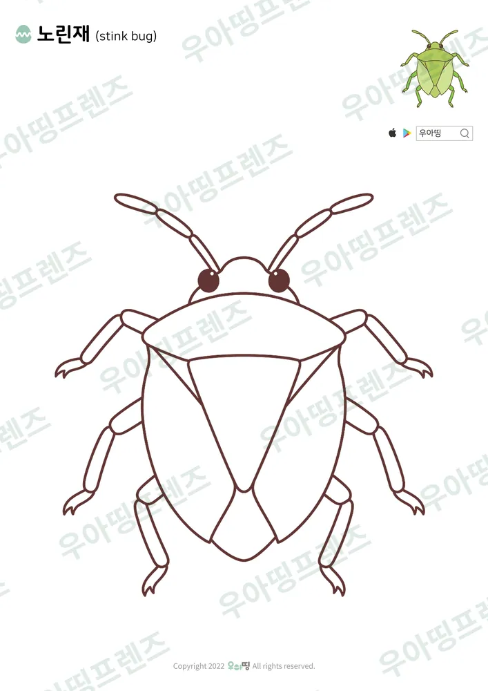 노린재 색칠공부 도안