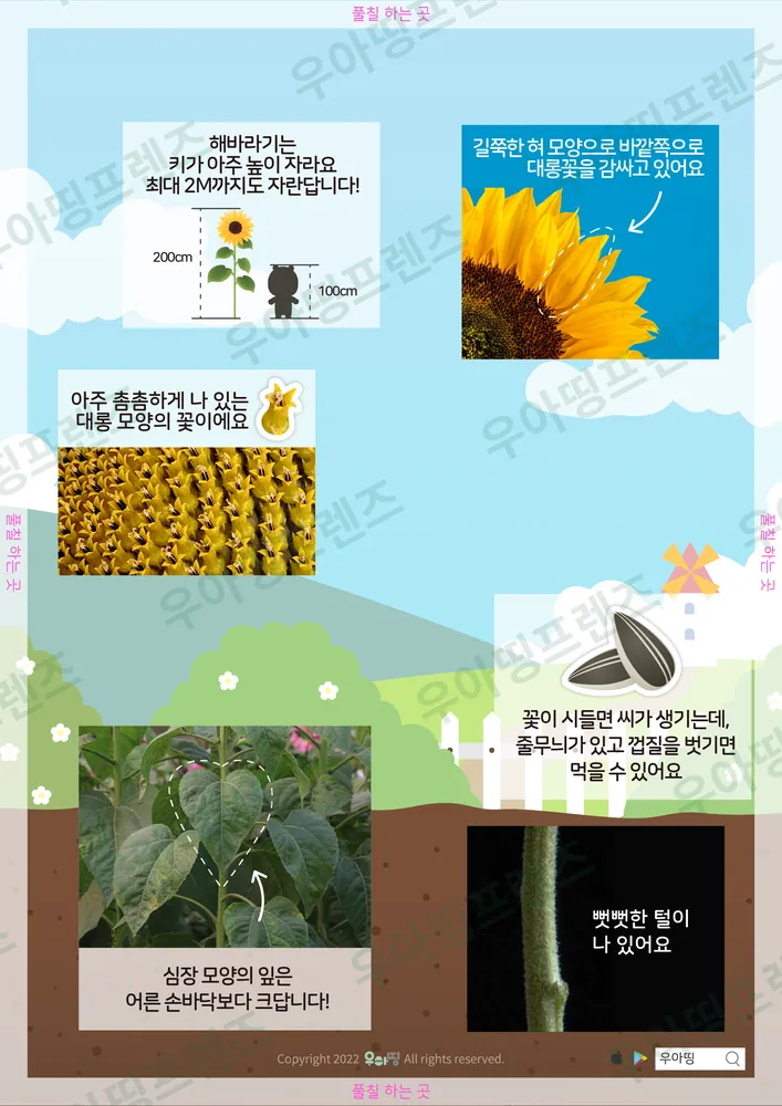 3쪽