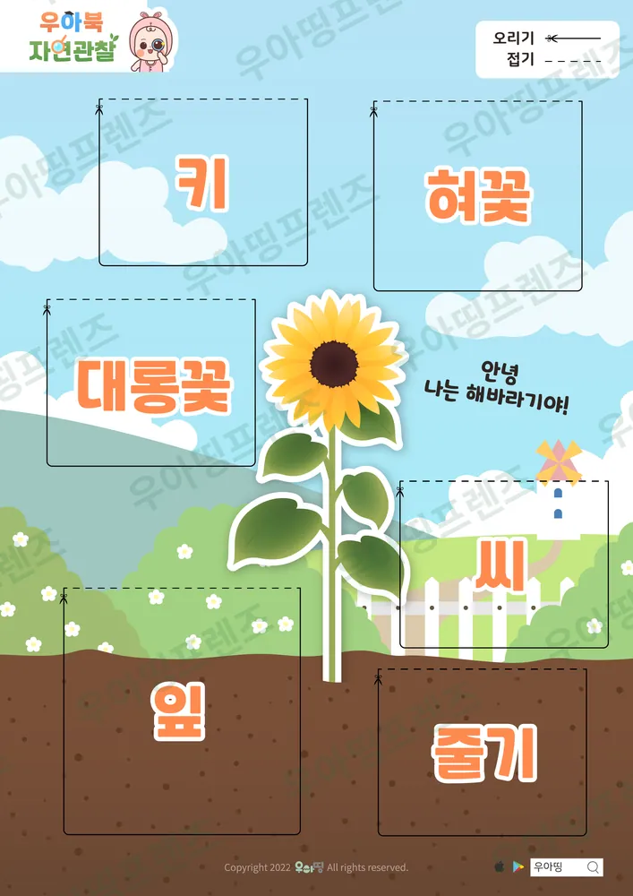 2쪽
