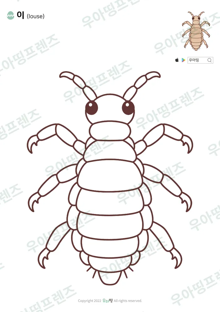 머릿니 색칠공부 도안