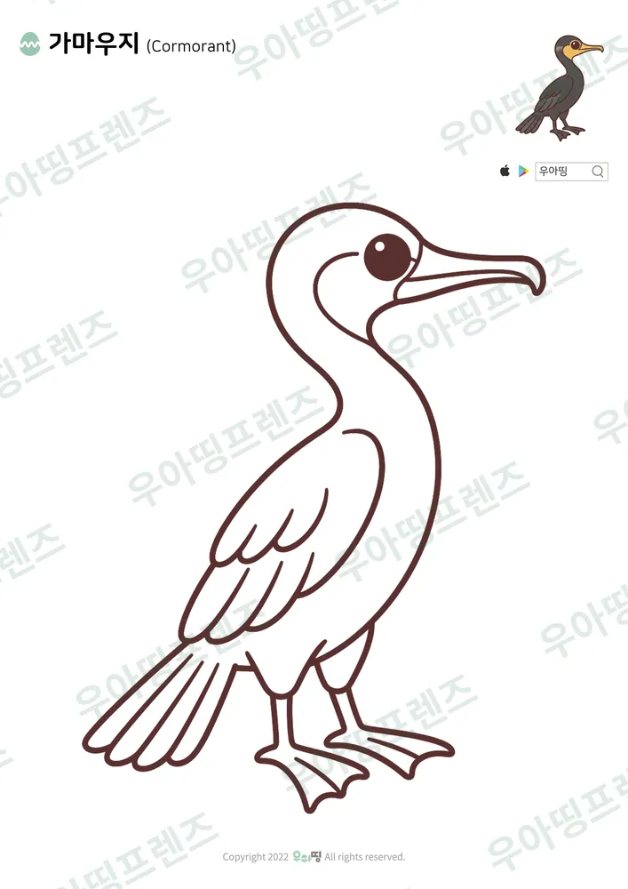 가마우지 색칠공부 도안