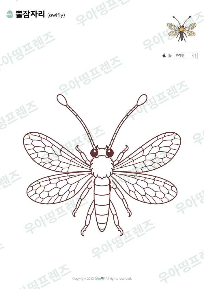 뿔잠자리 색칠공부 도안