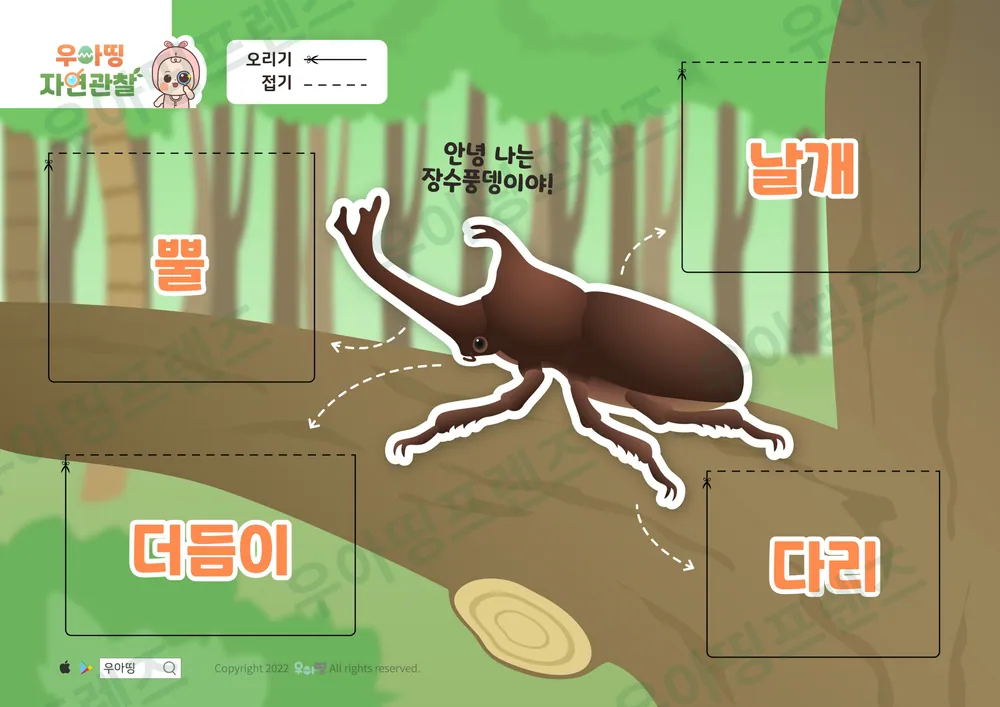 장수풍뎅이 자연관찰 워크북 도안 2쪽