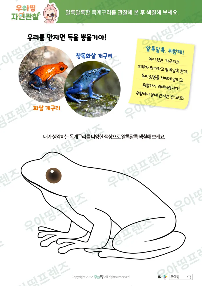 개구리 자연관찰 워크북 도안 6쪽