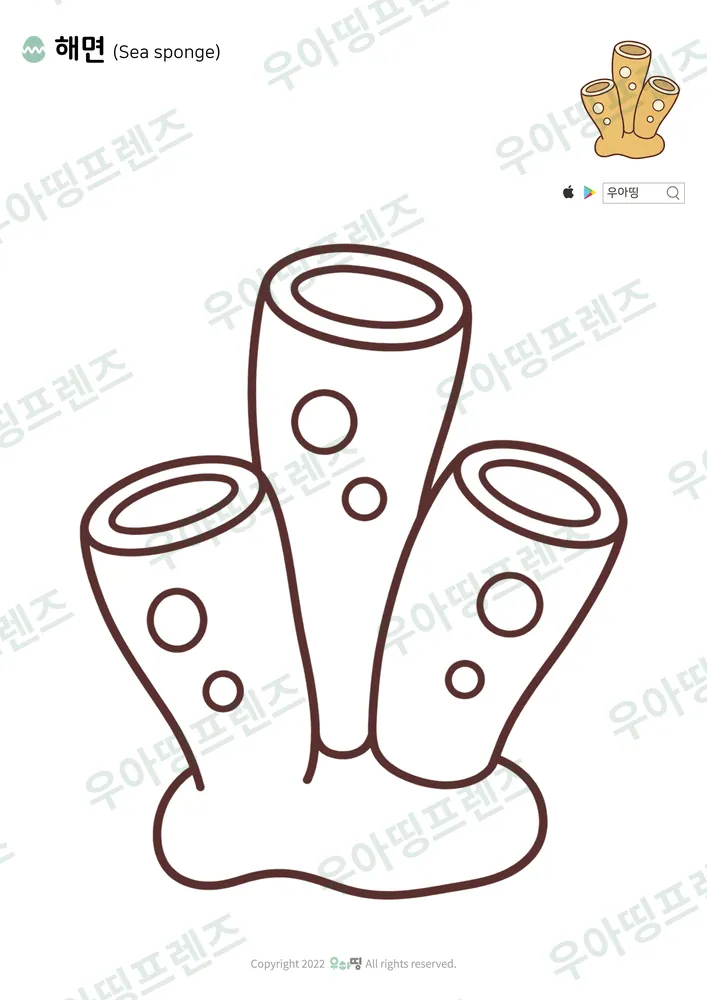 해면 색칠공부 도안