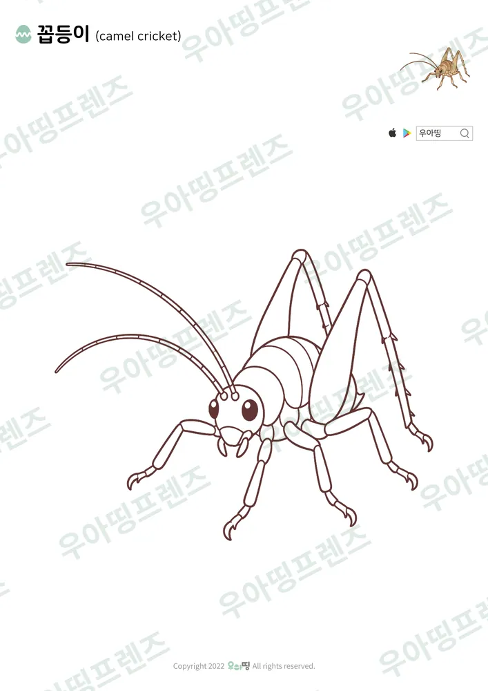 꼽등이 색칠공부 도안