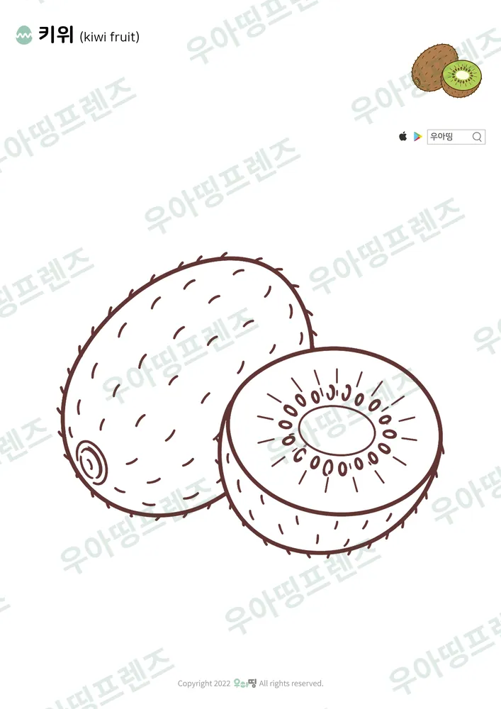 키위 색칠공부 도안