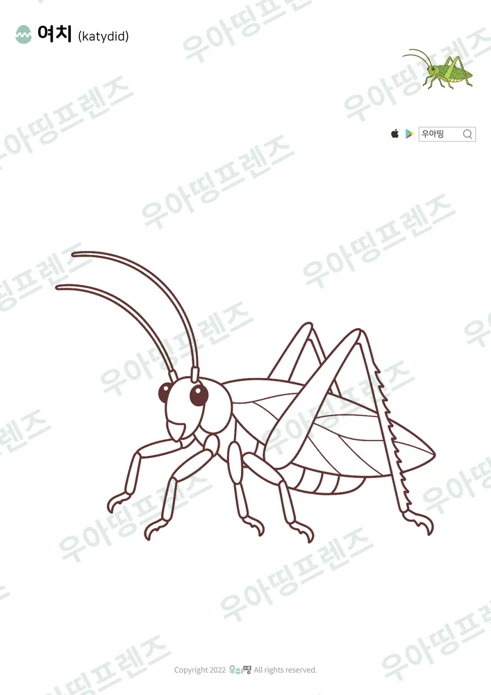 여치 색칠공부 도안