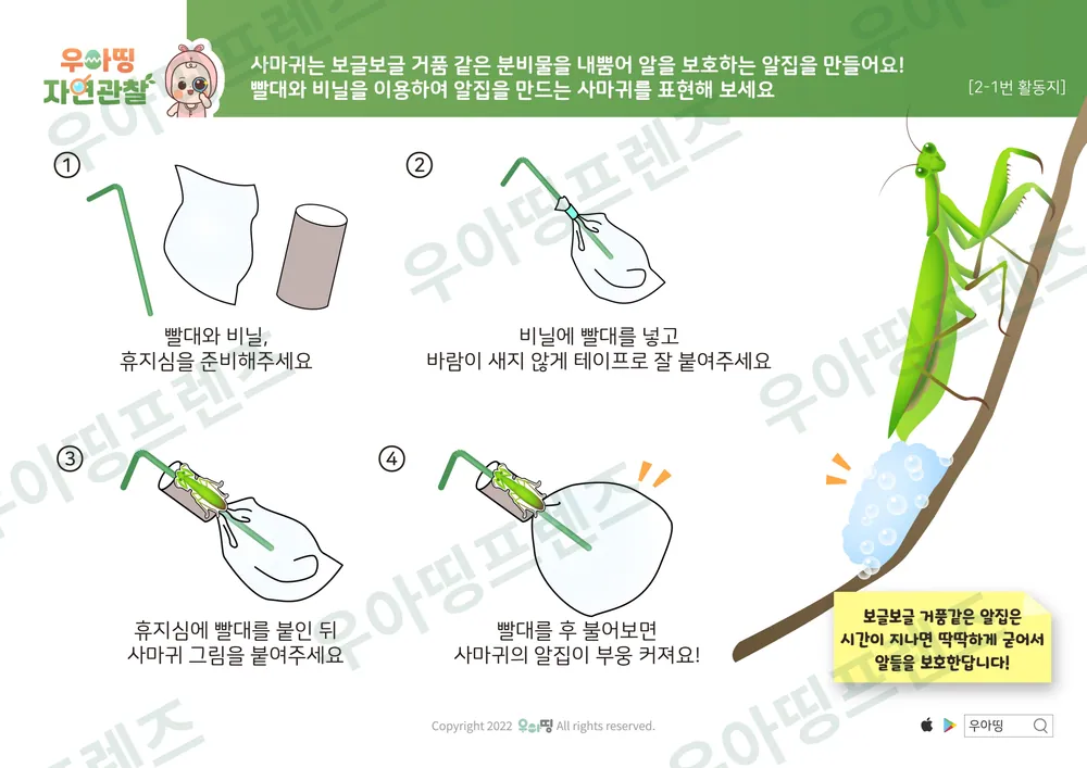 사마귀 자연관찰 워크북 도안 8쪽