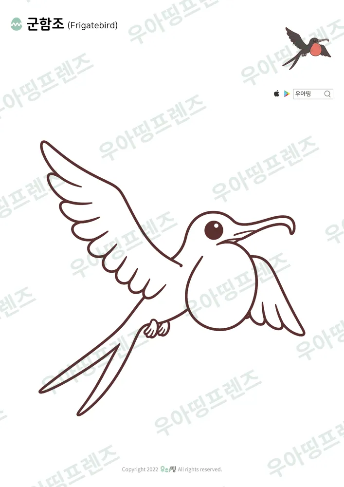 군함조 색칠공부 도안