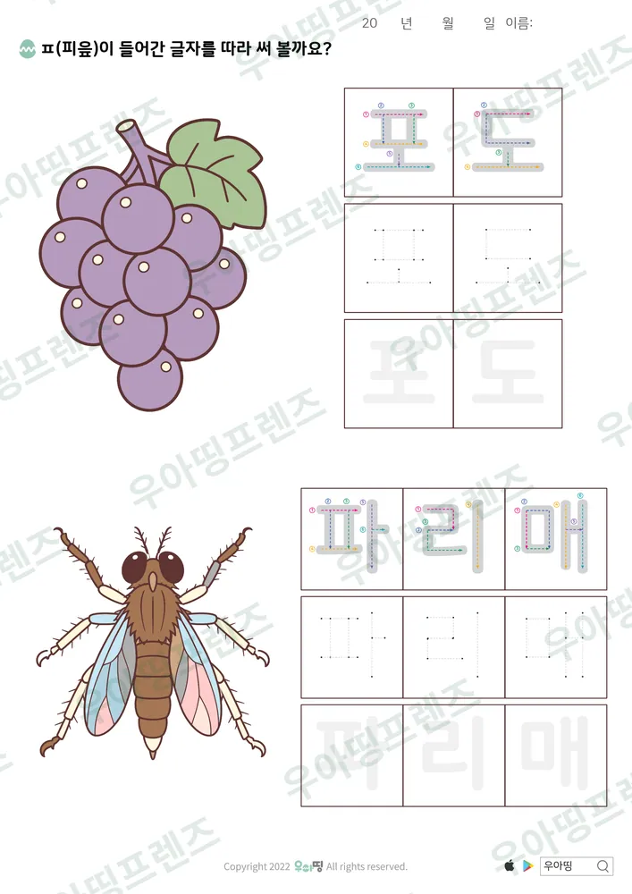 포도·파리매 따라쓰기 도안