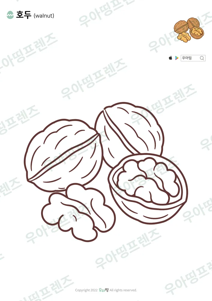 호두 색칠공부 도안
