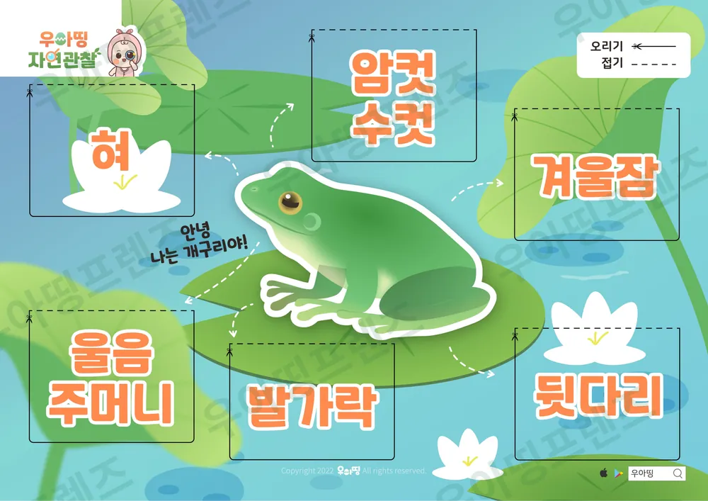 개구리 자연관찰 워크북 도안 3쪽