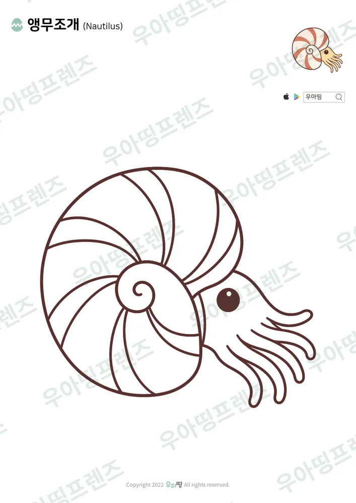 앵무조개 색칠공부 도안