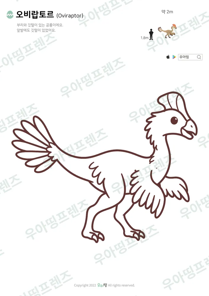 오비랍토르 색칠공부 도안