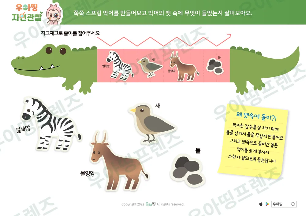 10쪽