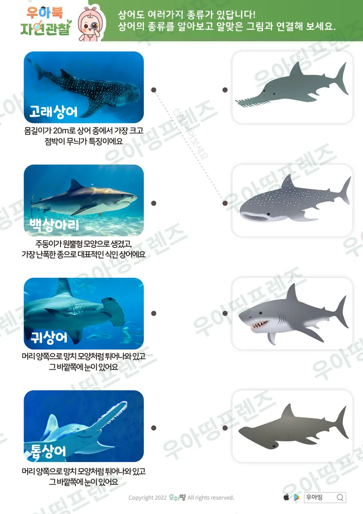 4쪽