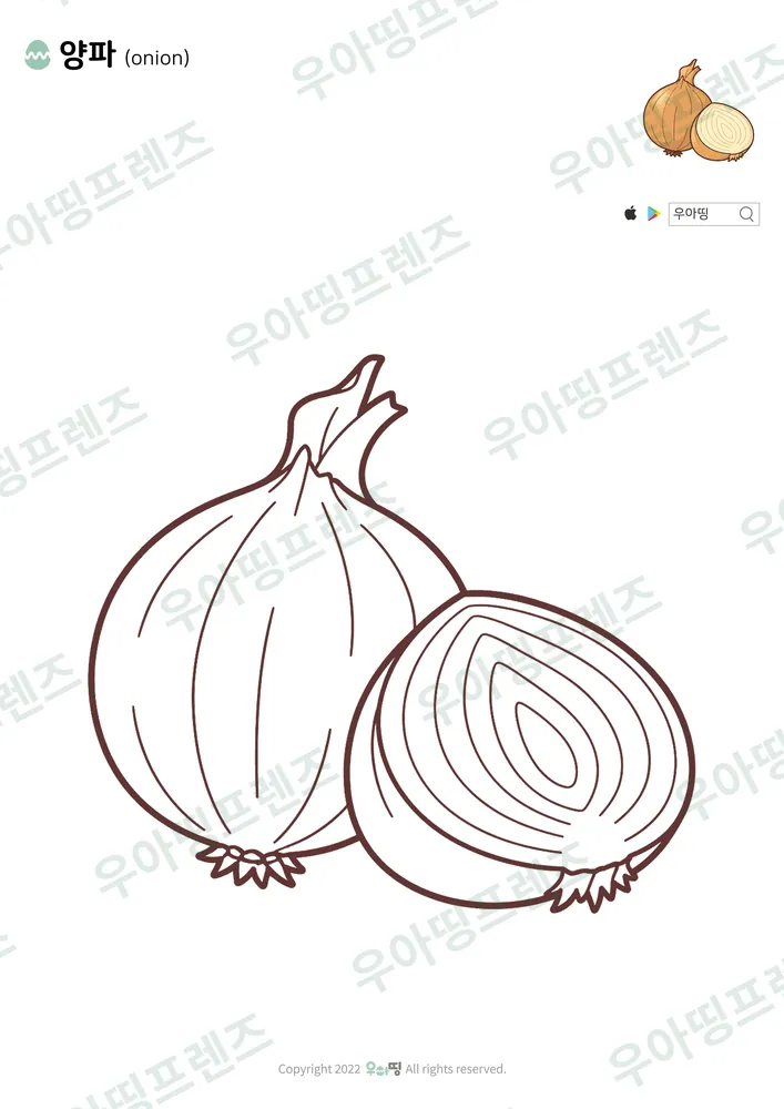 양파 색칠공부 도안