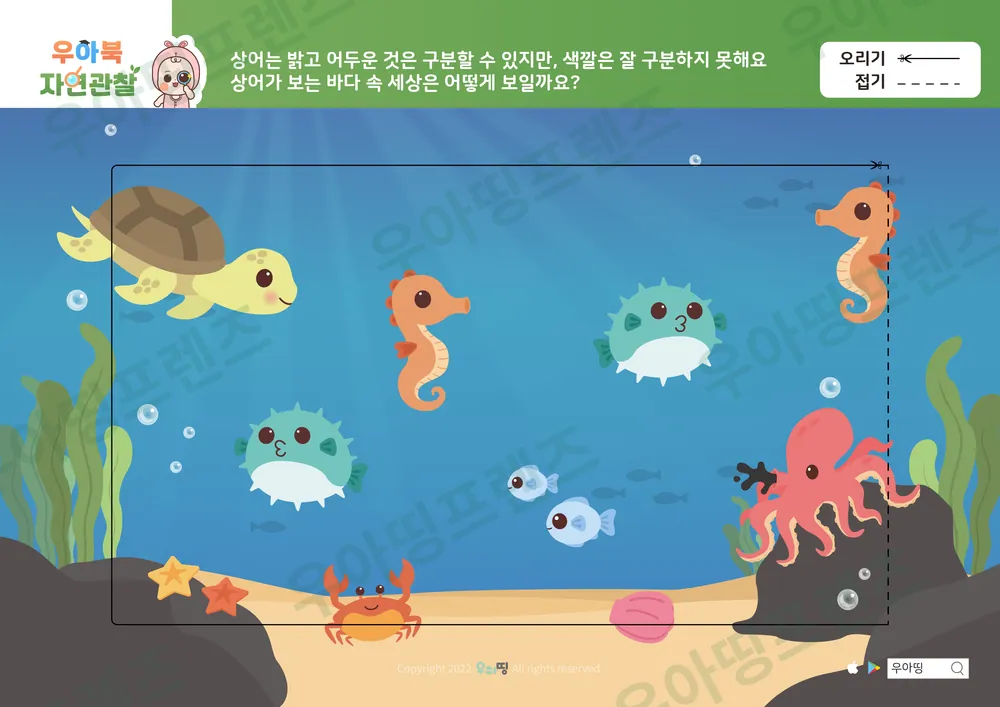 5쪽
