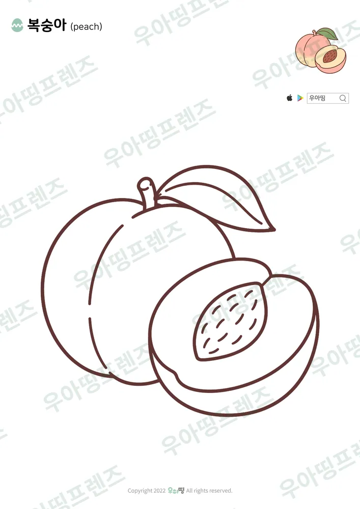 복숭아 색칠공부 도안