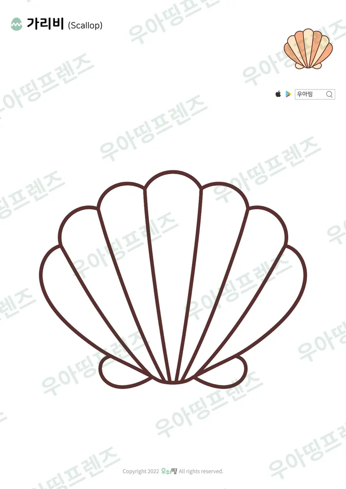 가리비 색칠공부 도안
