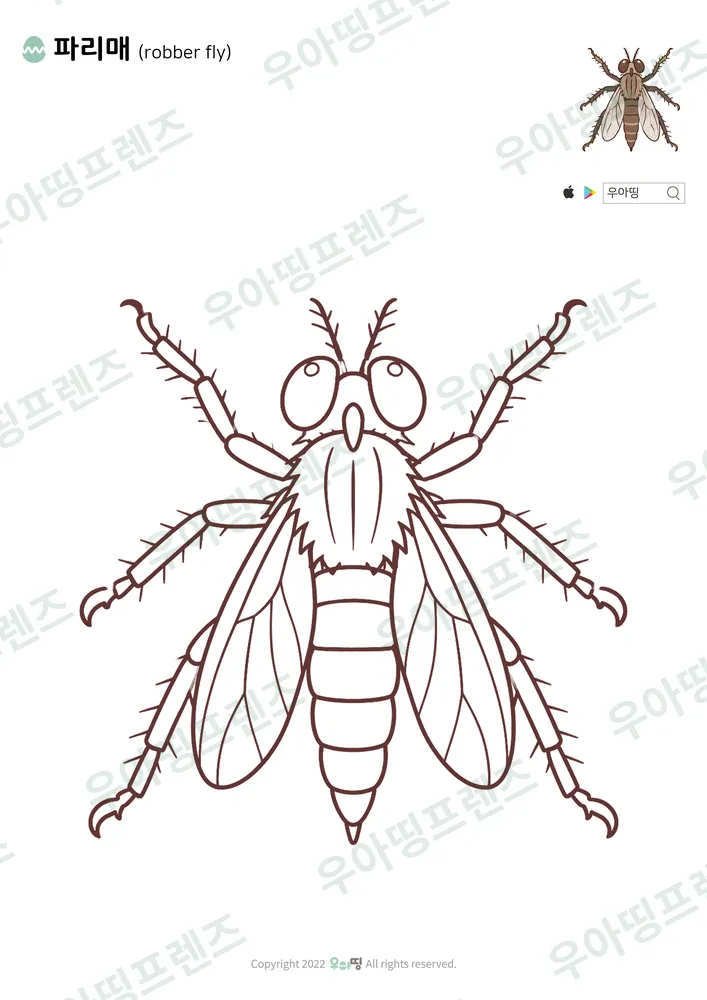 파리매 색칠공부 도안