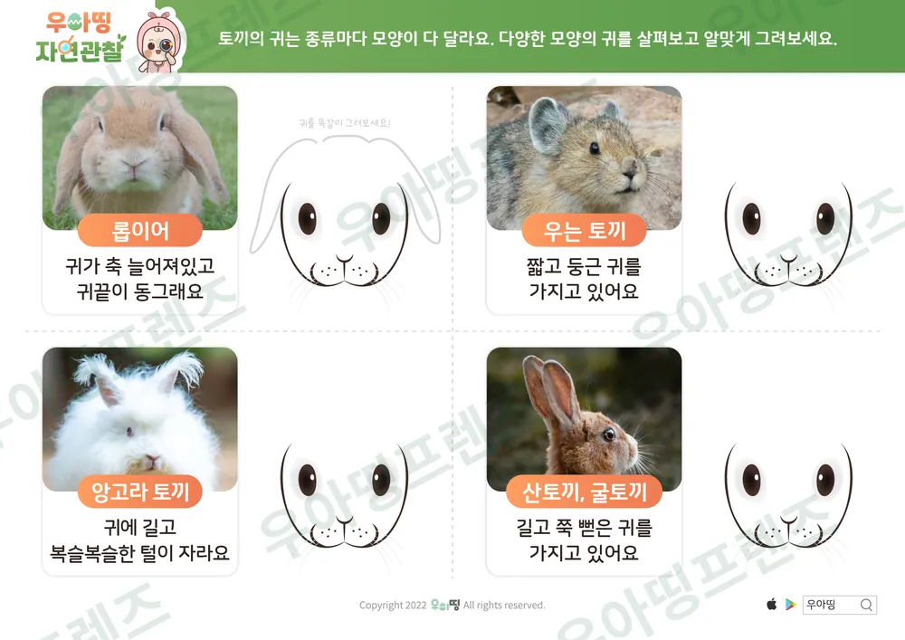 8쪽
