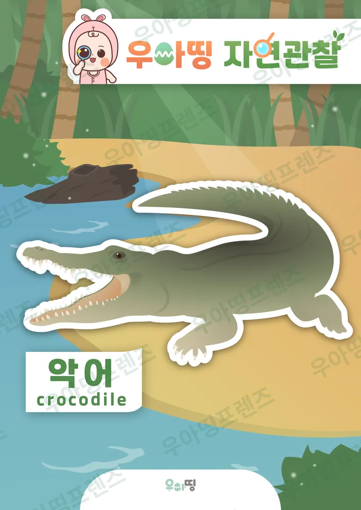 악어 자연관찰 워크북 미리보기