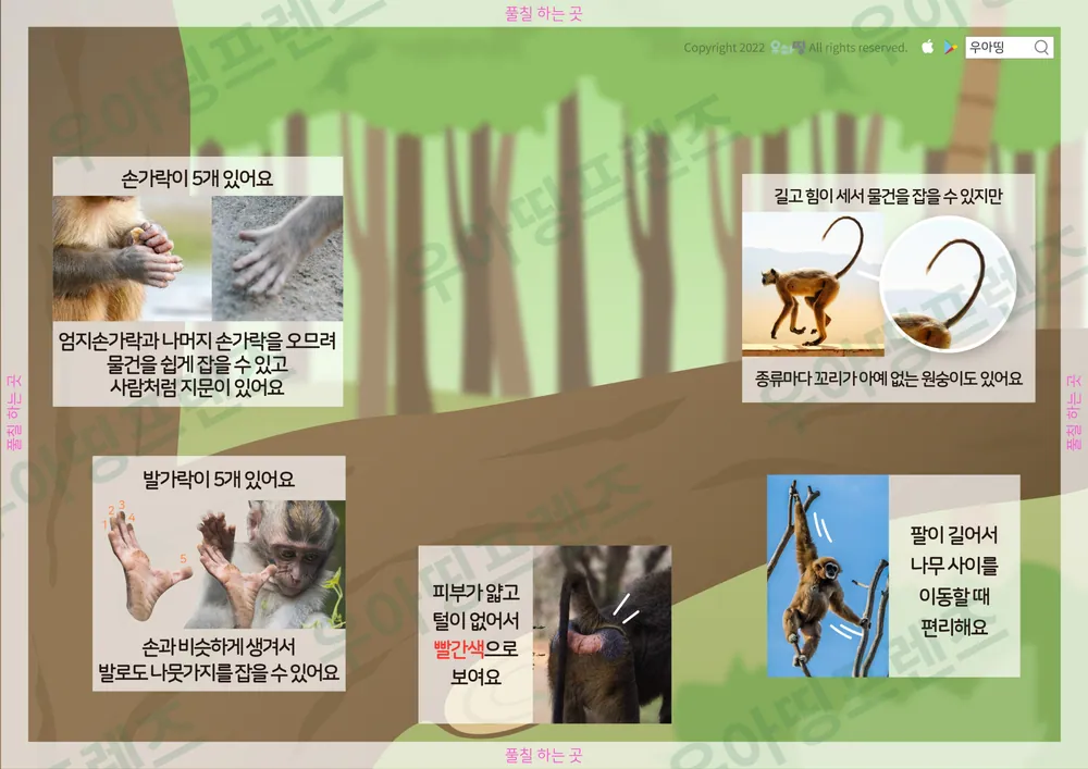 원숭이 자연관찰 워크북 도안 3쪽
