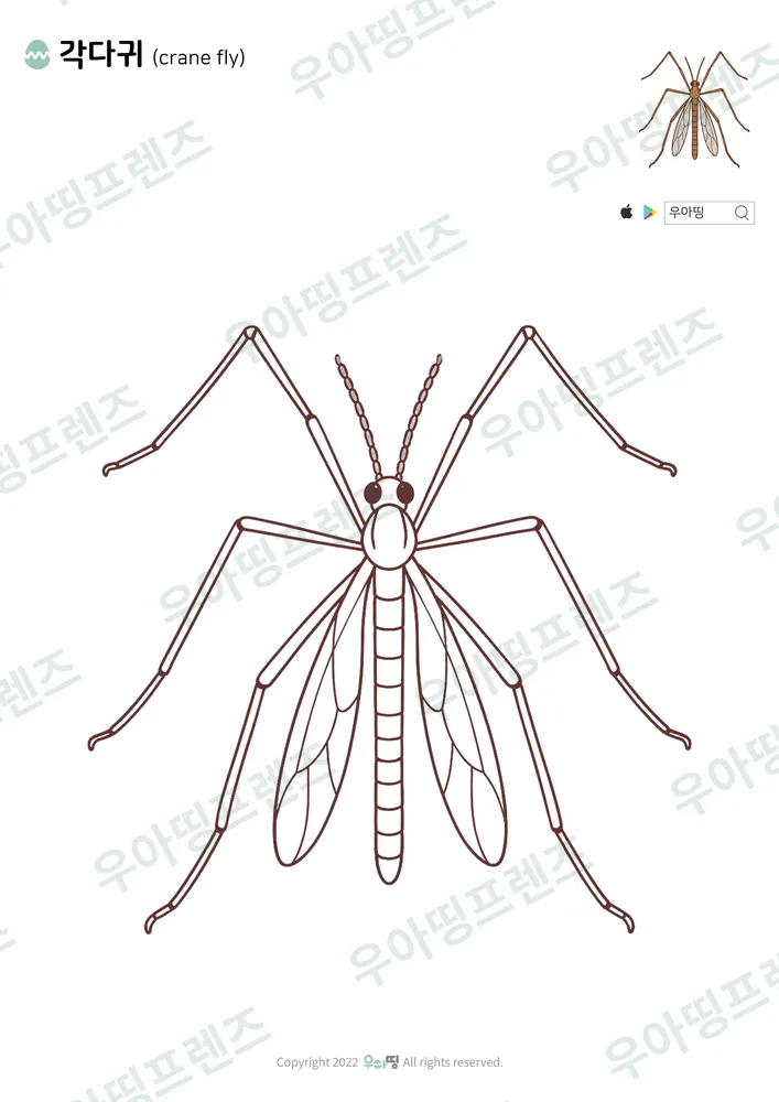 각다귀 색칠공부 도안