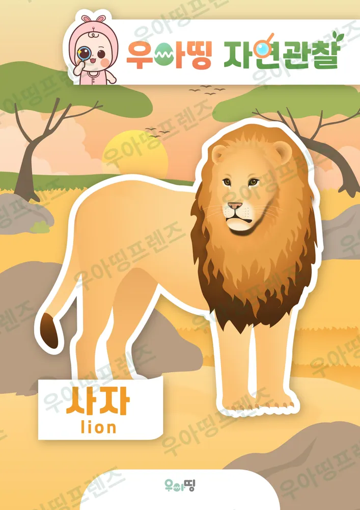 사자 자연관찰 워크북 미리보기