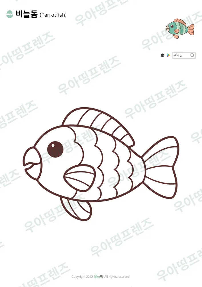 비늘돔 색칠공부 도안