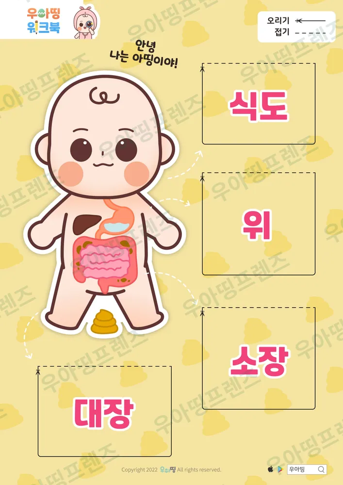 소화기관 워크북 도안 2쪽